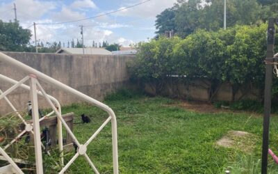 APPARTEMENT F4 – MOTOR POOL