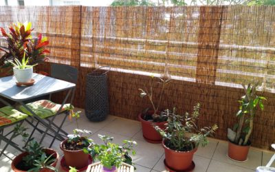 Appartement F3 – quartier latin