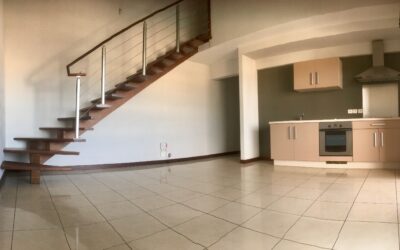 APPARTEMENT F3 DUPLEX-QUARTIER LATIN