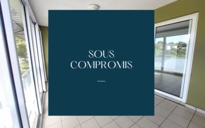 APPARTEMENT F2 – PORTES DE FER