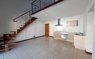 APPARTEMENT + MEZZANINE F3 – QUARTIER LATIN