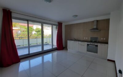 APPARTEMENT-F2-QUARTIER LATIN