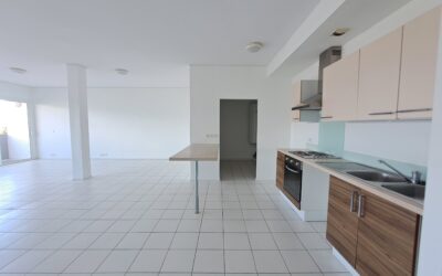 APPARTEMENT F4 PORTES DE FER