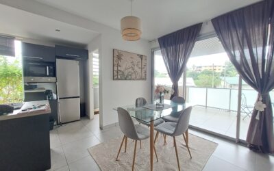 APPARTEMENT F3 DUPLEX JARDIN – PK7