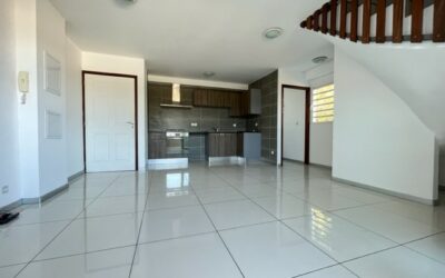 APPARTEMENT F3 – PORTES DE FER
