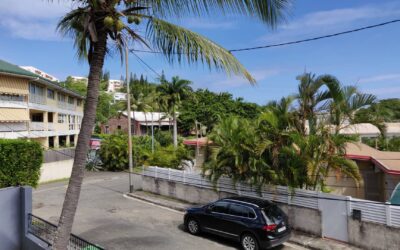 APPARTEMENT-F3-VALLEE DU GENIE