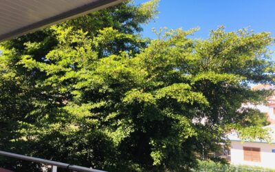 APPARTEMENT F3 – VALLEE DES COLONS