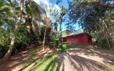 VILLA F4 – MONT DORE SUD