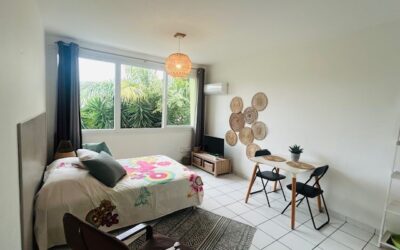 Studio Meublé au Val Plaisance